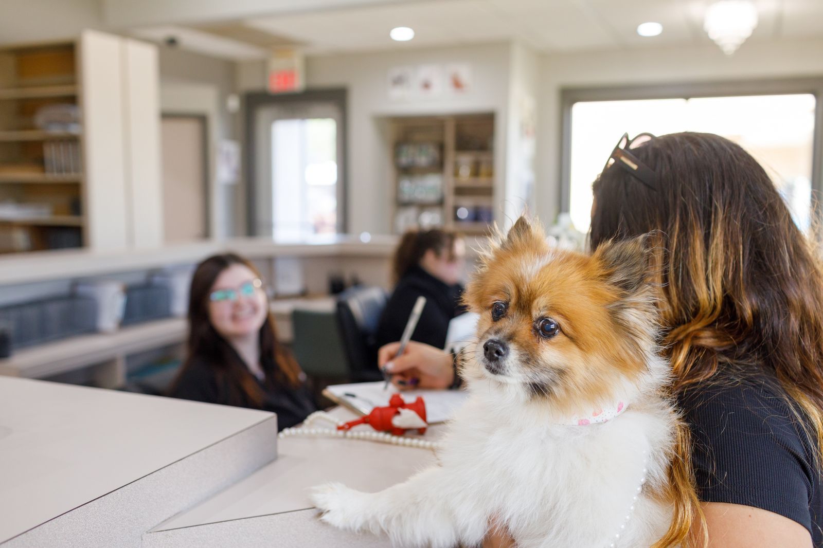 Roo Veterinary Relief